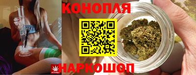 стафф Севастополь