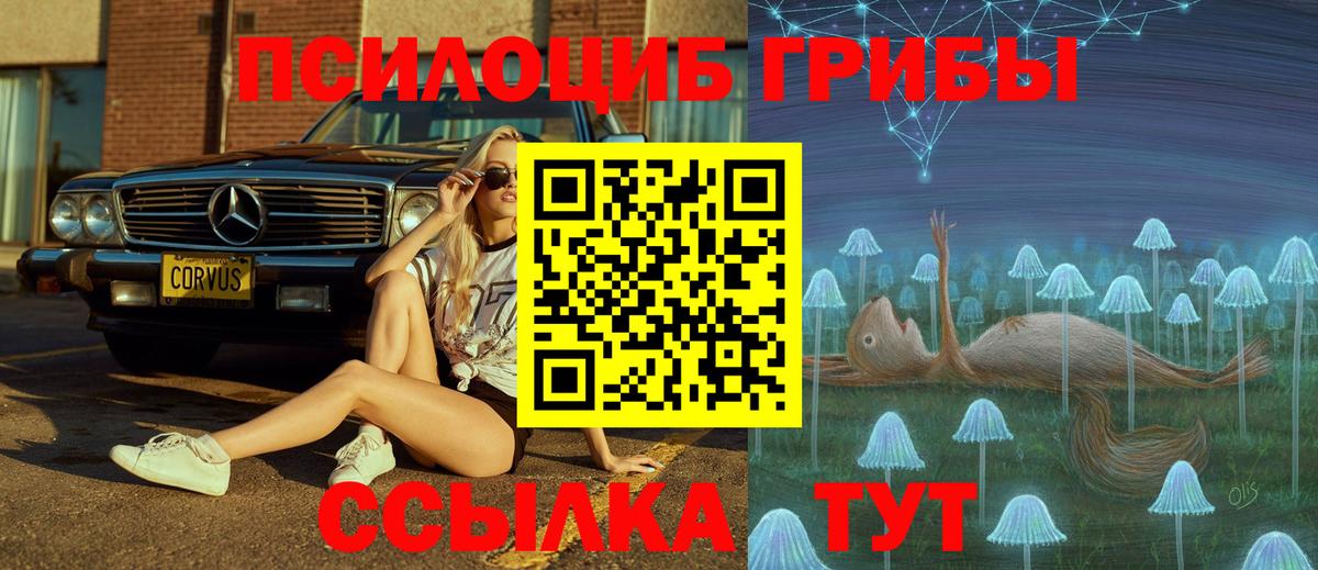 Псилоцибиновые грибы Cubensis Нижний Новгород