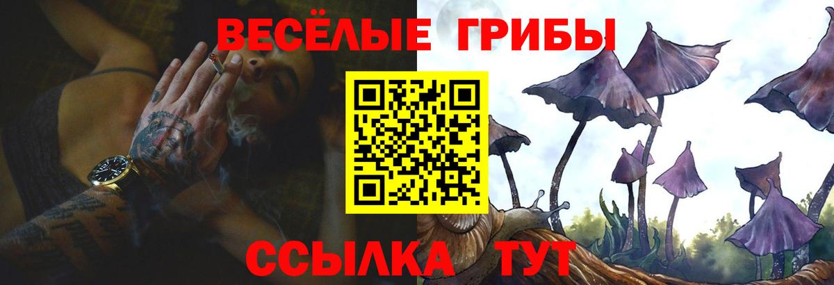 Псилоцибиновые грибы Magic Shrooms  Вход с VPN  как найти закладки  Нижний Новгород 
